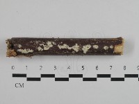 登錄號:F0032507藏品圖，第1張