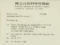 粗糙孢菌屬藏品圖，第2張