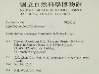 登錄號:F0032509藏品圖，第2張