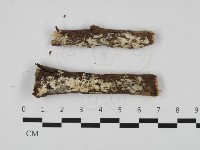 登錄號:F0032509藏品圖，第1張