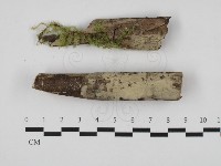 登錄號:F0032510藏品圖，第1張