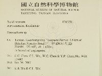 刺皮菌屬藏品圖，第2張