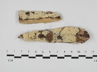 登錄號:F0032512藏品圖，第1張