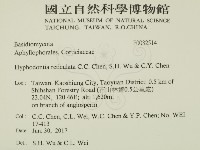 登錄號:F0032514藏品圖，第1張