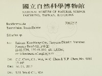 登錄號:F0032515藏品圖，第2張