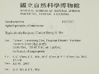 登錄號:F0032517藏品圖，第2張