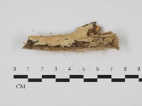 登錄號:F0032517藏品圖，第1張