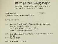 刺革菌屬藏品圖，第2張