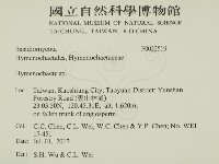 刺革菌屬藏品圖，第2張