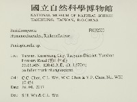 擬筍殼菌屬藏品圖，第2張