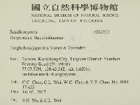 登錄號:F0032521藏品圖，第2張