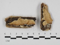 登錄號:F0032521藏品圖，第1張