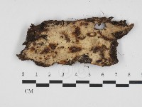 登錄號:F0032523藏品圖，第1張