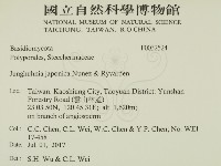 登錄號:F0032524藏品圖，第2張