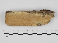 登錄號:F0032524藏品圖，第1張