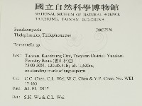 登錄號:F0032526藏品圖，第2張