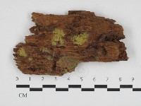 登錄號:F0032526藏品圖，第1張