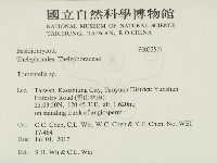 登錄號:F0032527藏品圖，第2張