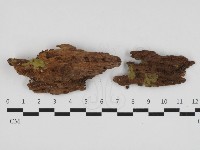 登錄號:F0032527藏品圖，第1張