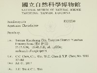 登錄號:F0032530藏品圖，第2張