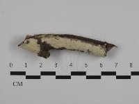 登錄號:F0032531藏品圖，第1張