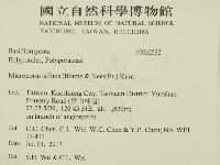 相鄰小孔菌藏品圖，第2張