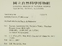 登錄號:F0032535藏品圖，第2張