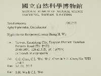 登錄號:F0032536藏品圖，第2張