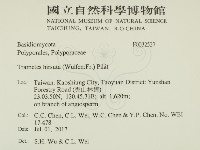 登錄號:F0032537藏品圖，第2張