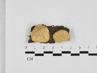 登錄號:F0032537藏品圖，第1張