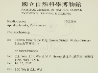顯絲菌屬藏品圖，第2張