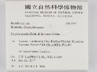 登錄號:F0032541藏品圖，第2張