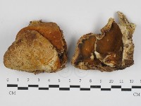 登錄號:F0032541藏品圖，第1張