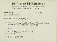 登錄號:F0032542藏品圖，第2張