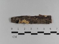 登錄號:F0032544藏品圖，第1張