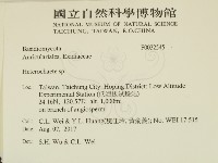 刺皮菌屬藏品圖，第2張