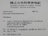 登錄號:F0032546藏品圖，第2張