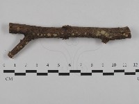 登錄號:F0032546藏品圖，第1張