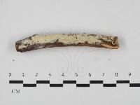 登錄號:F0032547藏品圖，第1張