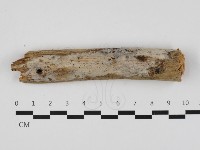 登錄號:F0032548藏品圖，第1張