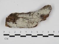 登錄號:F0032550藏品圖，第1張