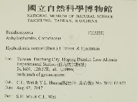 登錄號:F0032551藏品圖，第2張