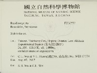 登錄號:F0032552藏品圖，第2張