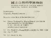 登錄號:F0032554藏品圖，第2張