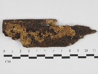 登錄號:F0032554藏品圖，第1張