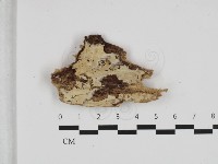 登錄號:F0032556藏品圖，第1張
