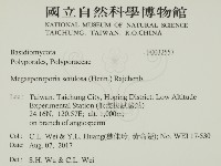 登錄號:F0032557藏品圖，第2張