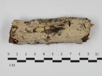 登錄號:F0032562藏品圖，第1張