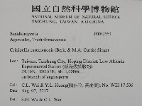 登錄號:F0032563藏品圖，第2張