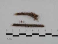 登錄號:F0032563藏品圖，第1張